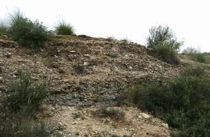 Pozo de Almoguera - Yebra - Almoguera: Silicificaciones y Yesos