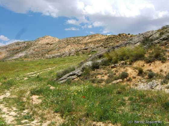 Huete: Serie del Oligoceno