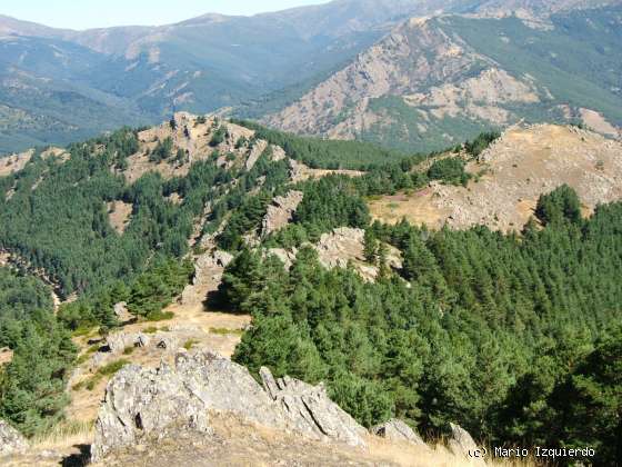 La Hiruela: Detachment Montejo - Cervunal