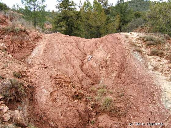 Tamajón: Triásico - Cretácico