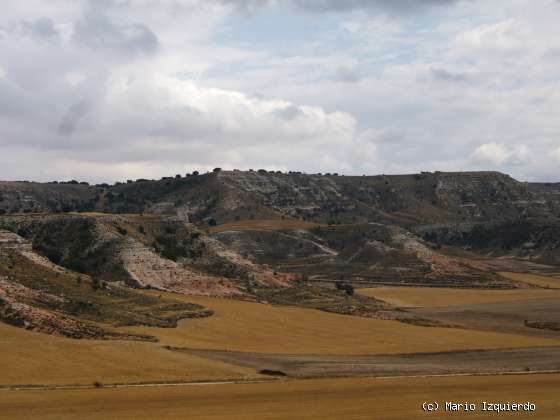 Arcos de Jalón: Mioceno Medio-Superior