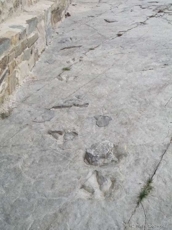 Bretún: Icnofósiles de terópodos y ripple-marks