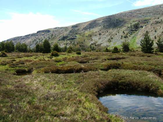 Sierra de Urbión: Glaciarismo