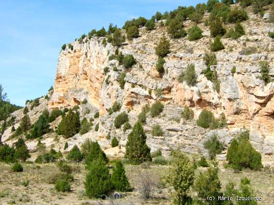 Turmiel - Maranchón: Jurásico