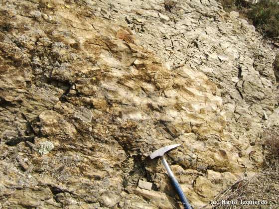 Castejón de las Armas: Ordovícico - Ripples & Cruciana