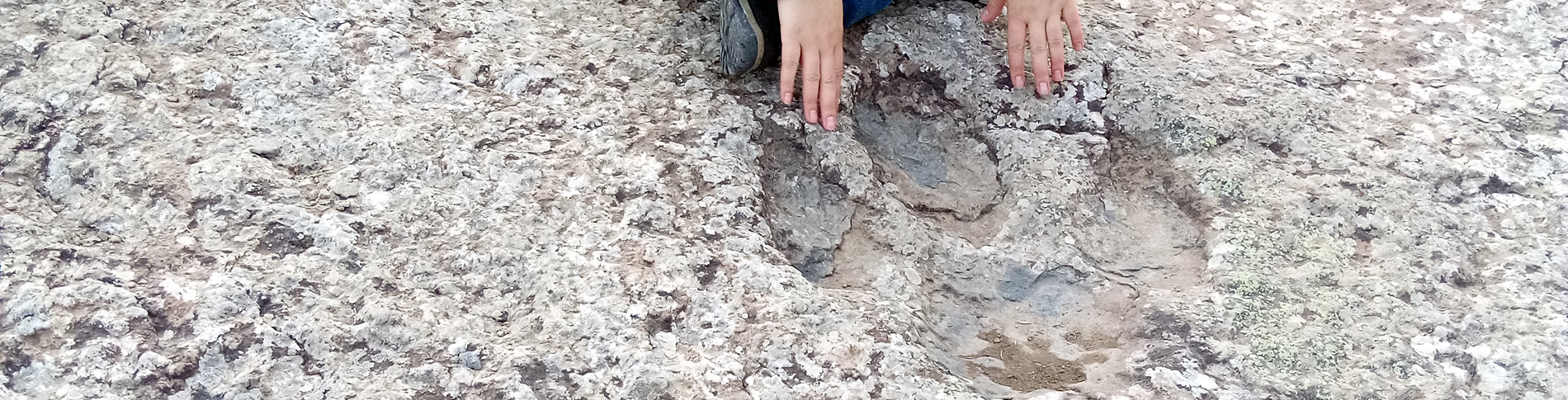 Huellas de estegosaurio