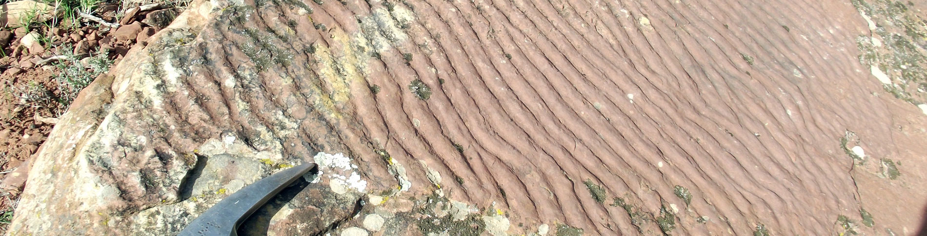 Ripples de cresta recta